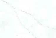 VM-003 VENATO BLANC